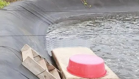 东山金刚虾养殖增氧项目