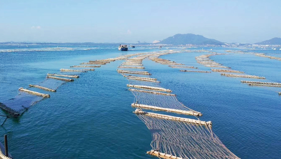 高密度化鲍鱼养殖智能增氧新方式