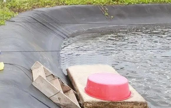 东山金刚虾养殖增氧项目